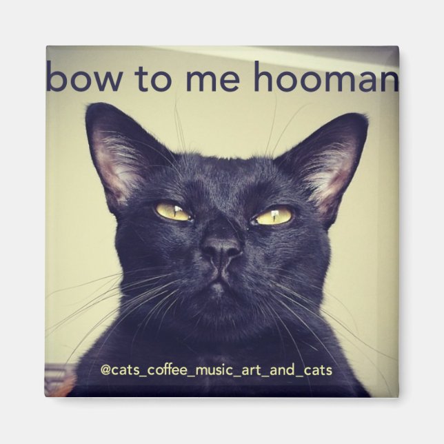 Batcat: Bow to me hooman Magnet (Framsidan)
