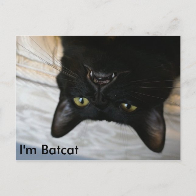 Batcat: Jag är Batcat-vykort Vykort (Framsida)