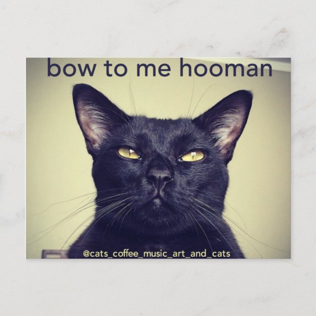 Batcat: Kort till mig hooman Postcard (Framsida)
