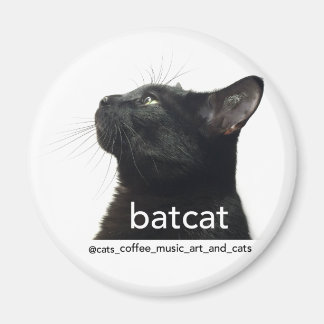 Batcat: Magnet