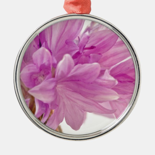 Batchelor-knapp Julgransprydnad Metall (Framsidan)