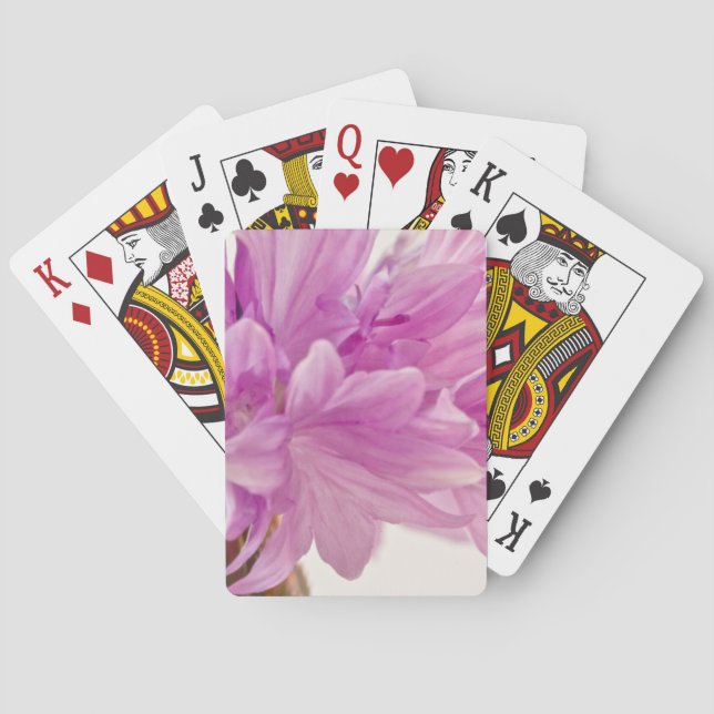 Batchelor-knapp Kortlek (Baksidan)