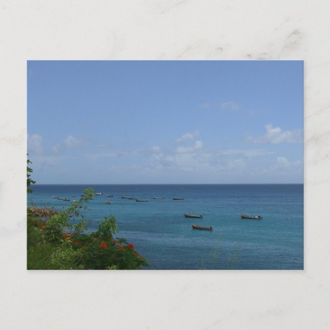 Bateaux de Pêcheurs - Martinique, FWI Vykort (Framsida)
