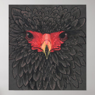 Bateleur Eagle African Bird Porträtt Papper Colla Poster