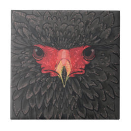 Bateleur Eagle African Bird Porträtt Papper Collag Kakelplatta