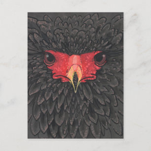 Bateleur Eagle African Bird Porträtt Papper Collag Vykort