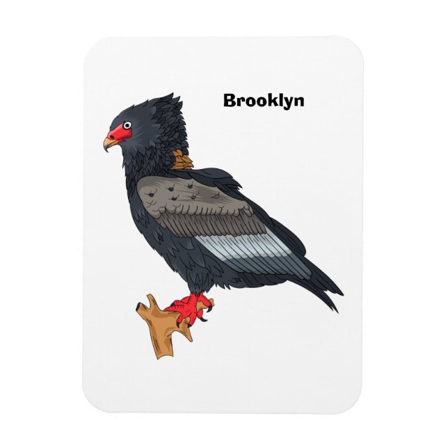 Bateleur Eagle-illustration Magnet (Vertikal)