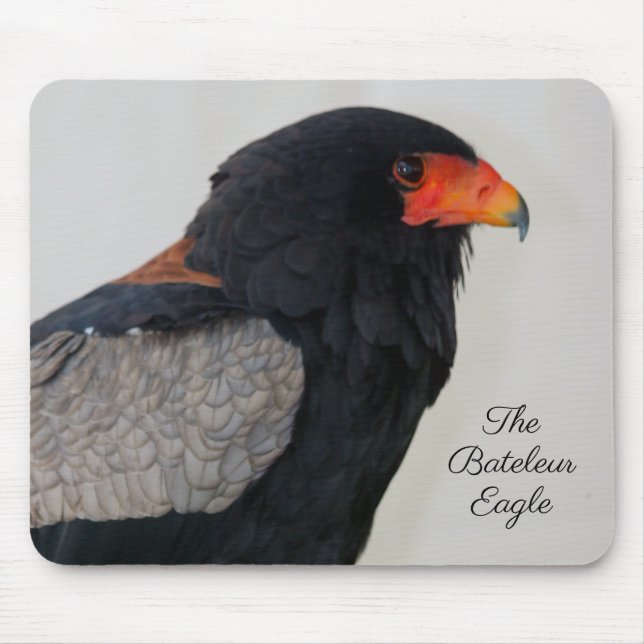 Bateleur Eagle Musmatta (Framsidan)