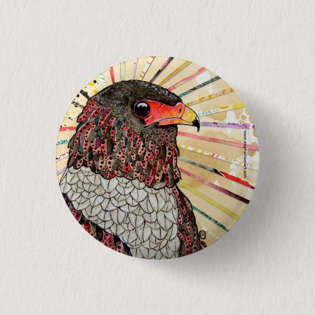 Bateleur örn knapp (Framsida)