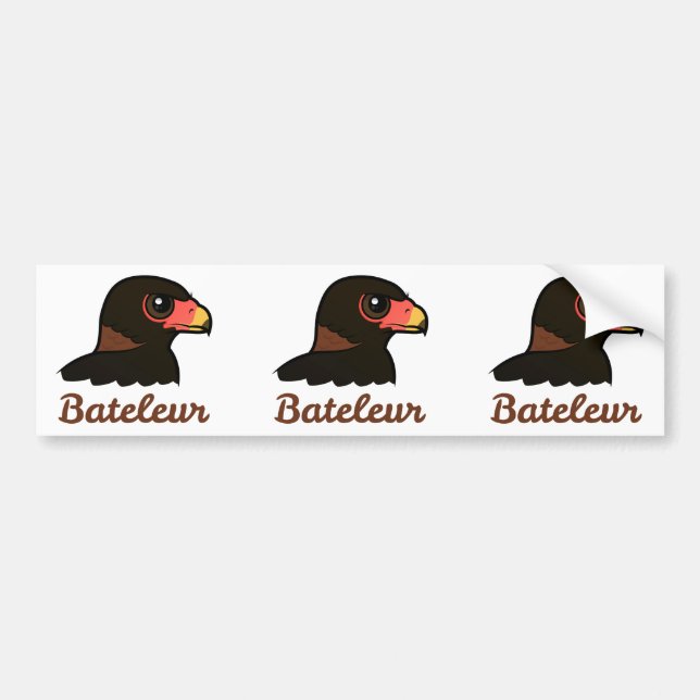 Bateleur profilerar bildekal (Framsidan)