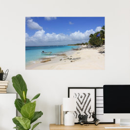 Båten vid Beach Poster