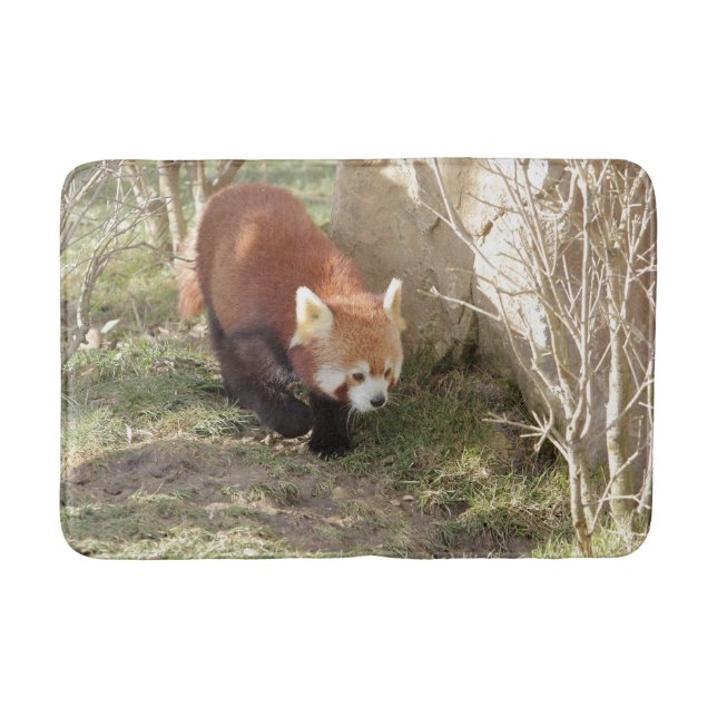 Bath Mat Photo Red panda , djur 0126. Badrumsmatta (Framsidan)