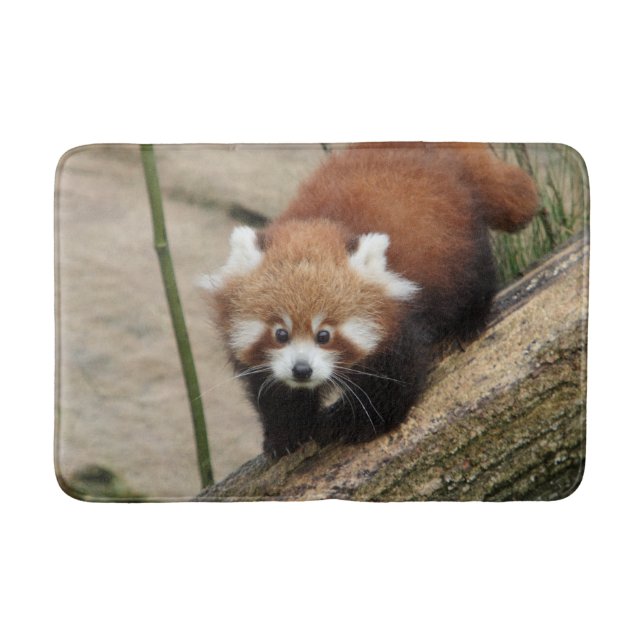 Bath Mat Photo Red panda , djur 0127. Badrumsmatta (Framsidan)
