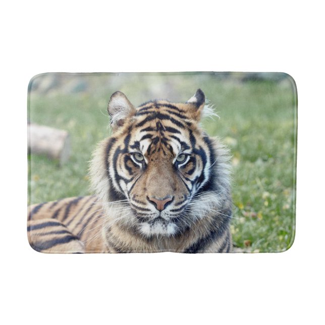 Bath Mat Photo tiger cat , djur. Badrumsmatta (Framsidan)