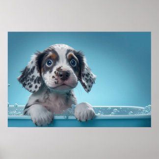 Bath Tub-Valp Poster