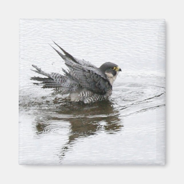 Bathing Beauty Magnet (Framsidan)