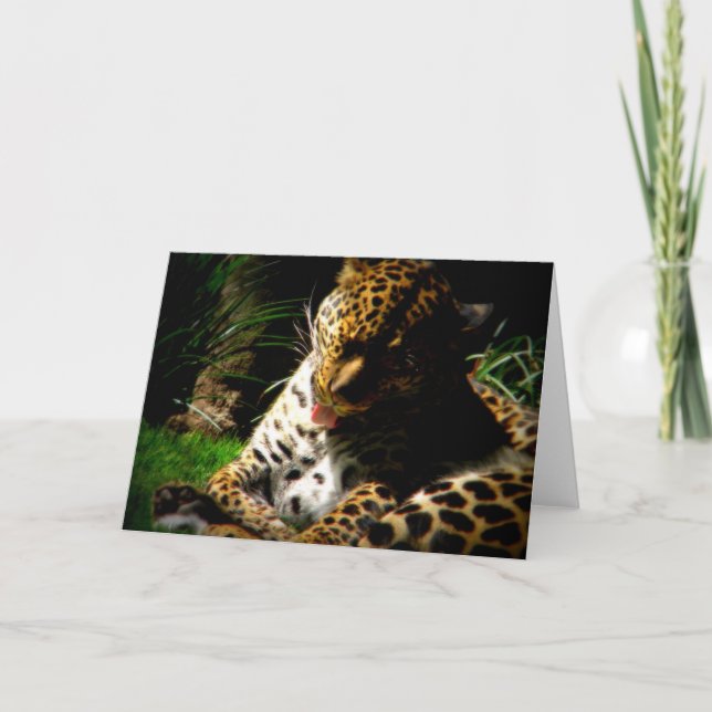 Bathing Leopard Helgkort (Framsida)