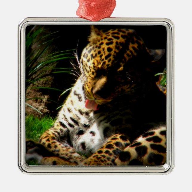 Bathing Leopard Julgransprydnad Metall (Framsidan)