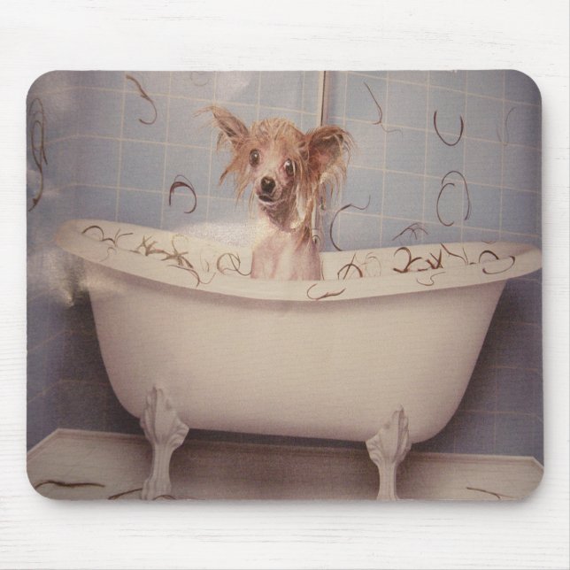 BATHING PUPPY MUSMATTA (Framsidan)