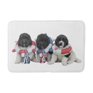 Bathmat för baby för Notta björnNewfoundlands Badrumsmatta