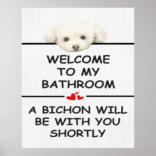 Bathroom Bichon Frise Poster (Framsidan)