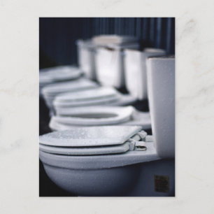 Bathroom Break! Vykort