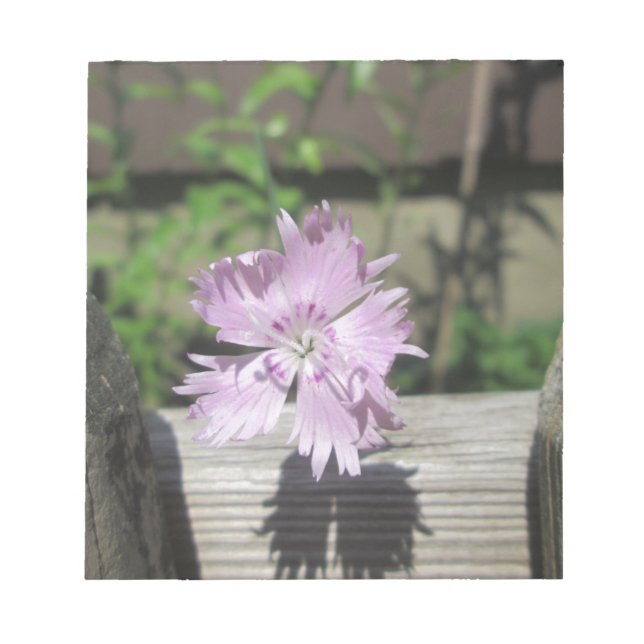 Baths Rosa Dianthus on Fence Anteckningsblock (Framsida)
