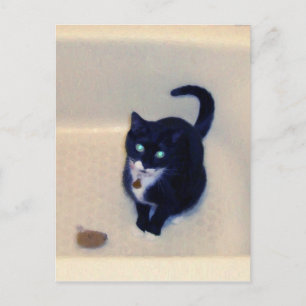 Bathtub-uppspelningstid Vykort