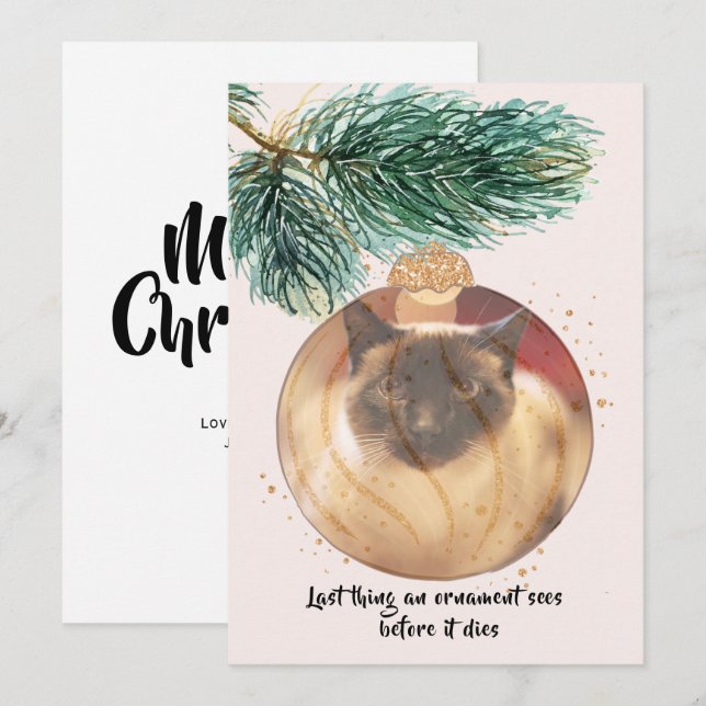 Båtkort förra Sak: Lusande julklapp Inbjudningar (Fram/baksida)