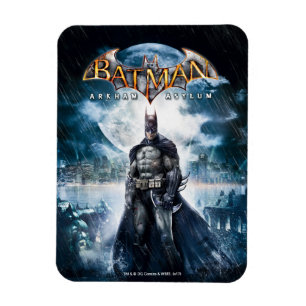 Batman: Arkham Asylum Speltäckeskonst Magnet