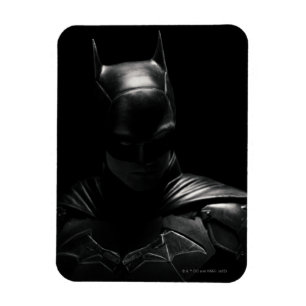 Batman i skugga magnet