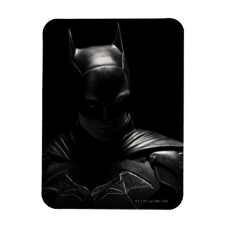 Batman i skugga magnet