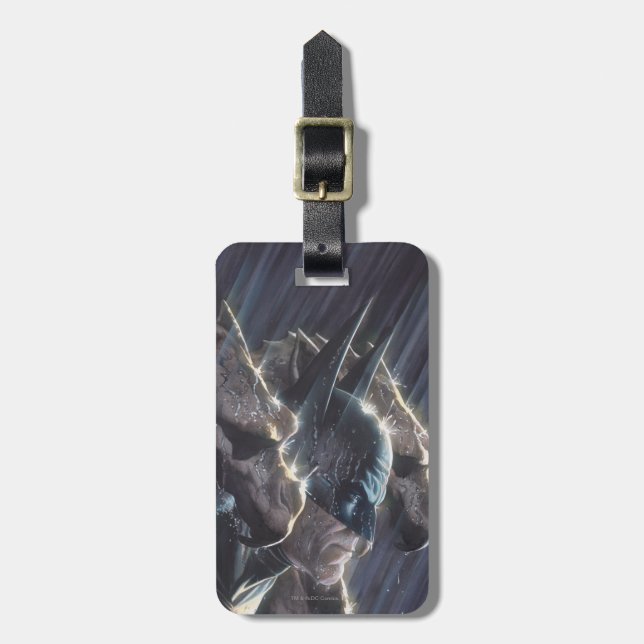 Batman Vol 1 #681 Cover Bagagebricka (Vertikal Framsida)