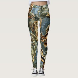 Batrachia Frogs av Ernst Haeckel Leggings