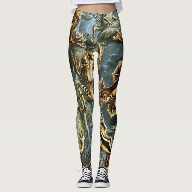 Batrachia Frogs av Ernst Haeckel Leggings (Framsida)