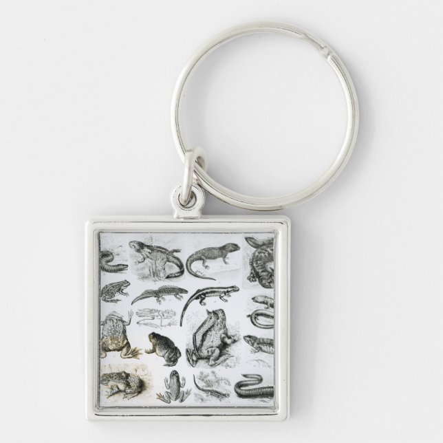 Batrachians och andra Amphibia Fyrkantig Silverfärgad Nyckelring (Framsidan)