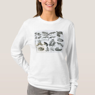 Batrachians och andra Amphibia Tee Shirt