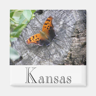 Battered Beauty Magnet