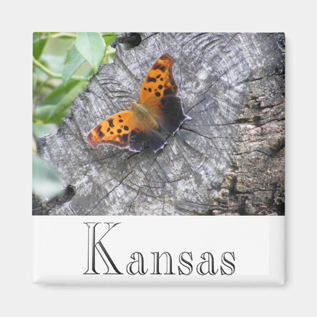 Battered Beauty Magnet (Framsidan)