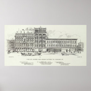 Batteri och Sansome för gräsnorrsida Poster
