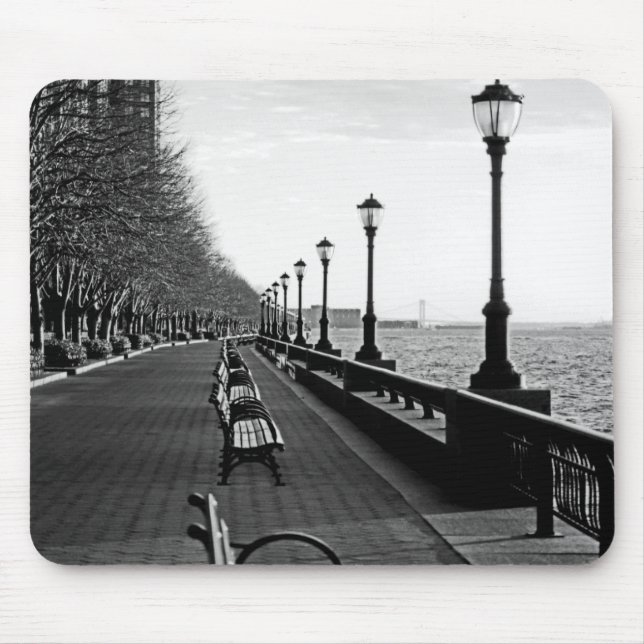 Battery Park City I Musmatta (Framsidan)