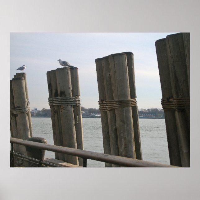 Battery Park - New York City Poster (Framsidan)