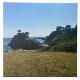 Battle Rock, Port Orford, OR Affisch Kakelplatta