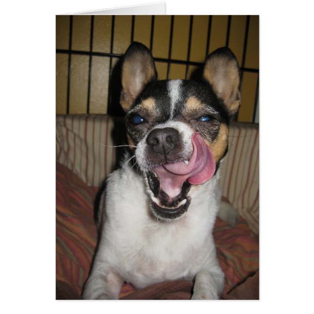 Bättre än? hälsningskort (Framsidan)