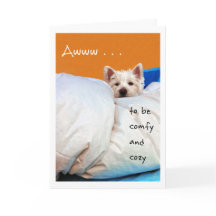 Bättre, mysigt och Comfy Westie hund för