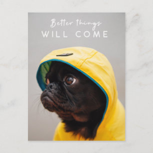 Bättre Sak kommer att leda till Kom   Pug Hund Cut Vykort