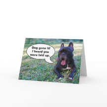 Bättre snart franskt bulldoggkort för