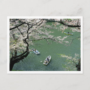 Båttur på Chidorigafuchi: Tokyo, Japan Vykort