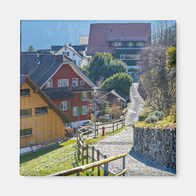 Bauer Vierwald, Schweiz Magnet (Framsidan)