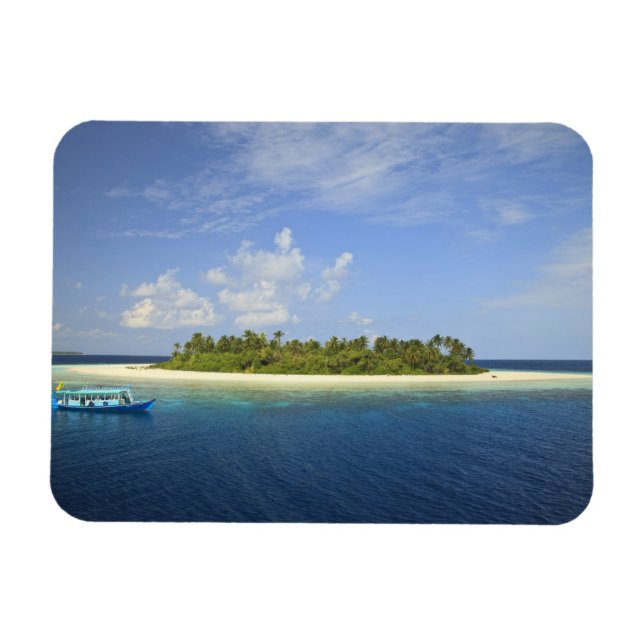 Baughagello Island, South Huvadhoo Afee Magnet (Horisontell)